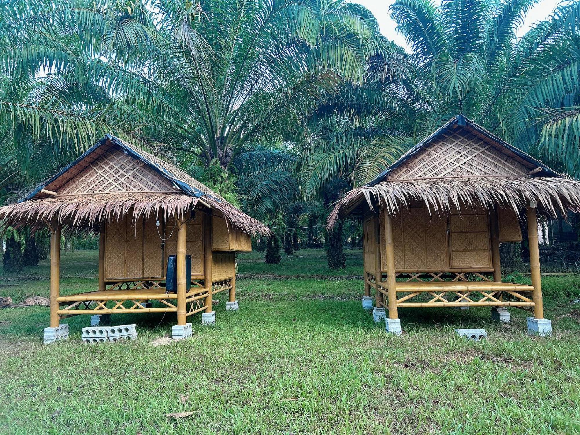 Khaosok August Freedom Camp Hotel Khao Sok National Park Ngoại thất bức ảnh
