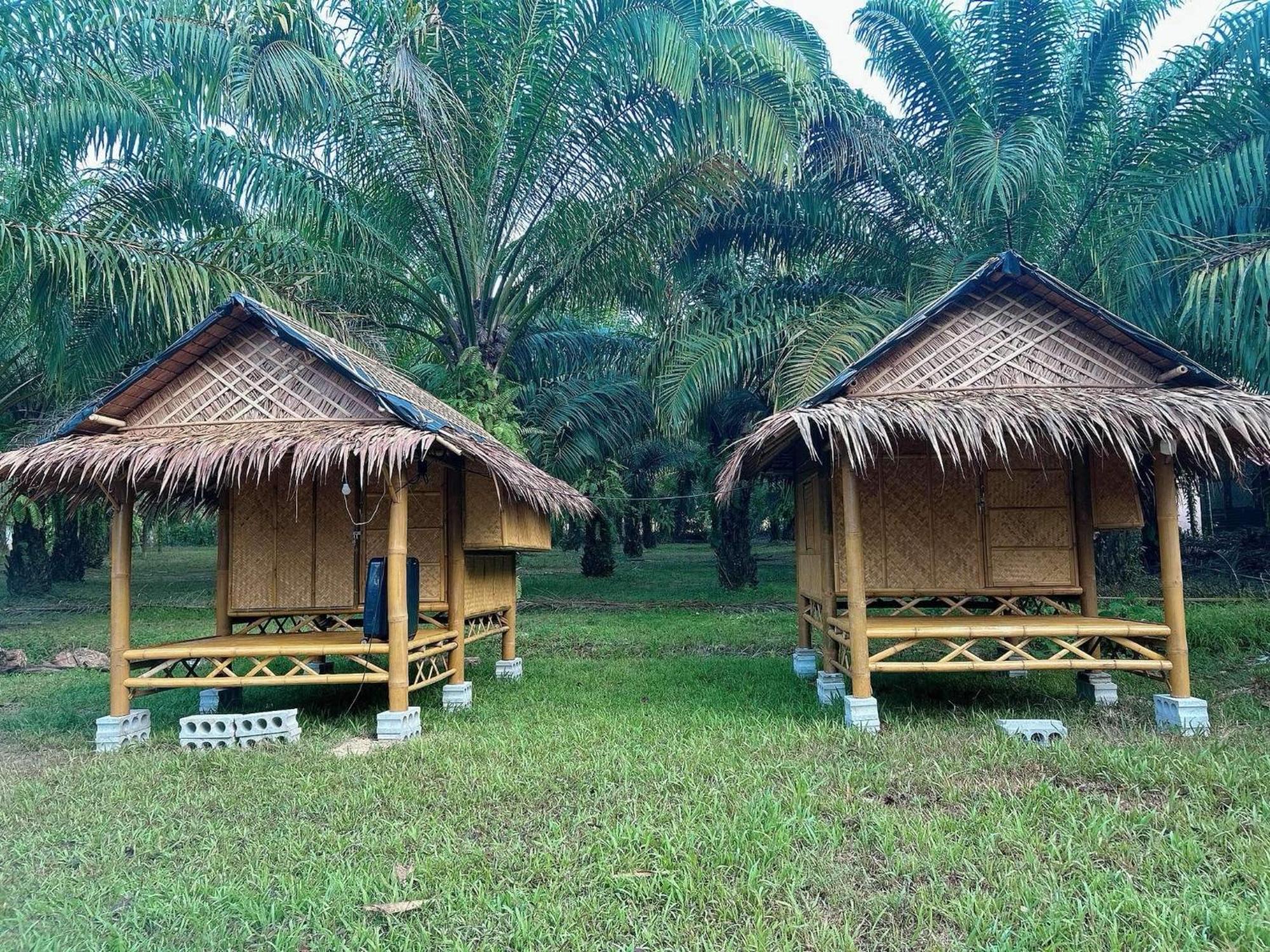 Khaosok August Freedom Camp Hotel Khao Sok National Park Ngoại thất bức ảnh