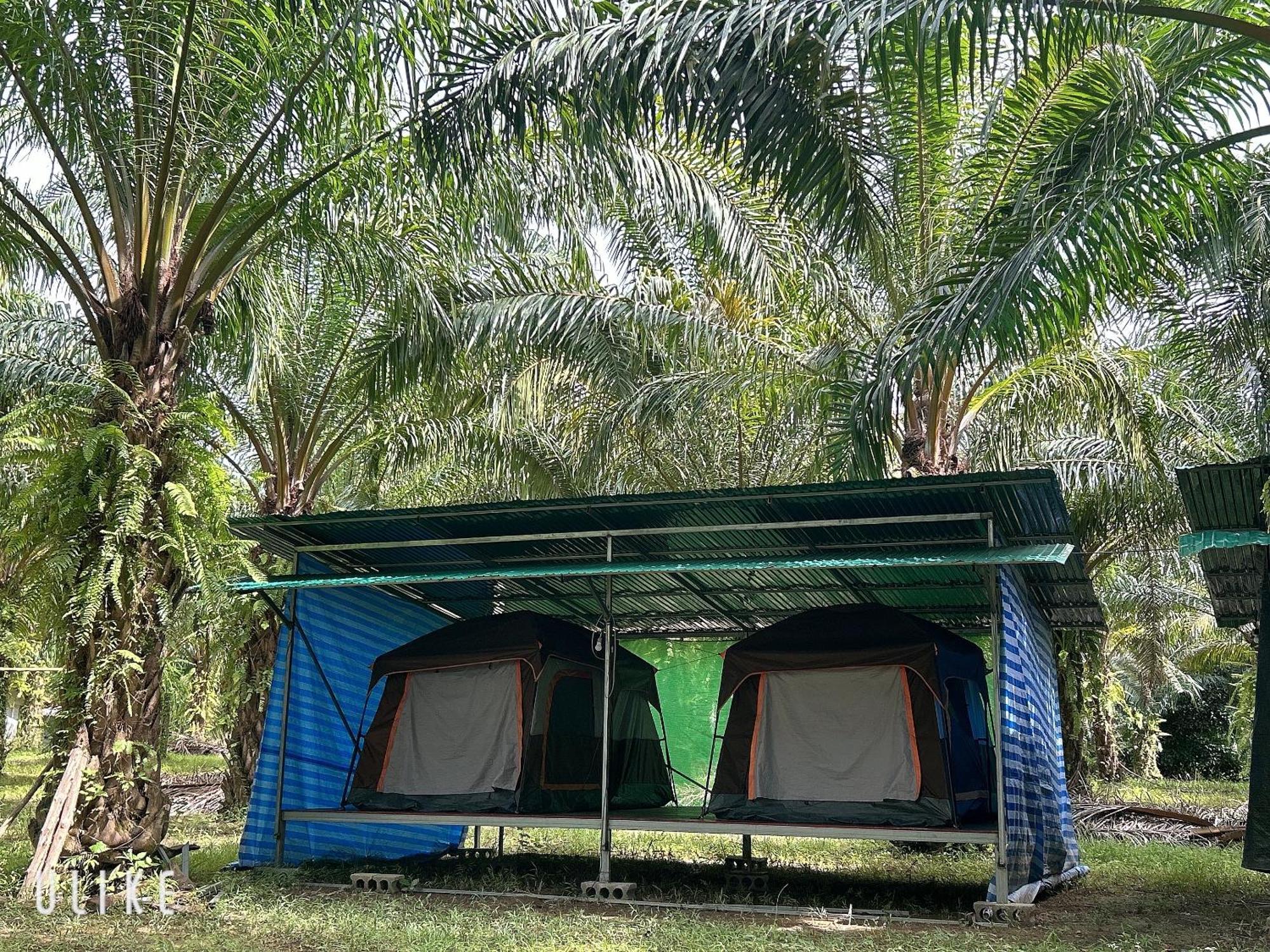 Khaosok August Freedom Camp Hotel Khao Sok National Park Ngoại thất bức ảnh